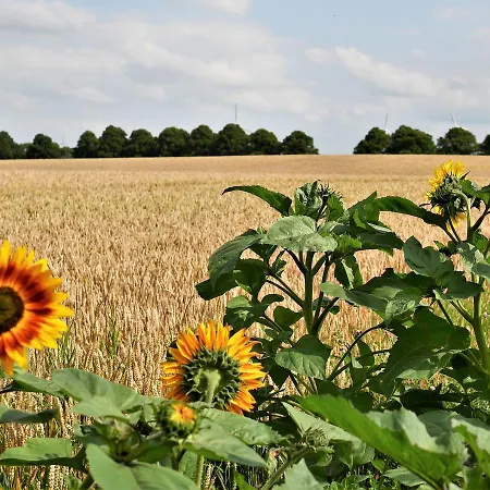 Huebsches In Am Salzhaff Mit Kamin